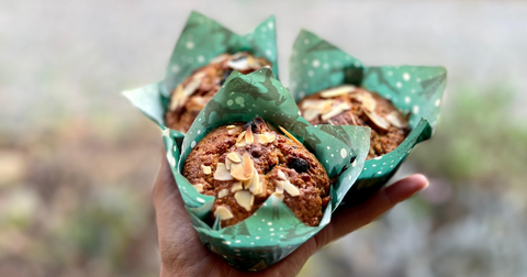 high protein blueberry muffins